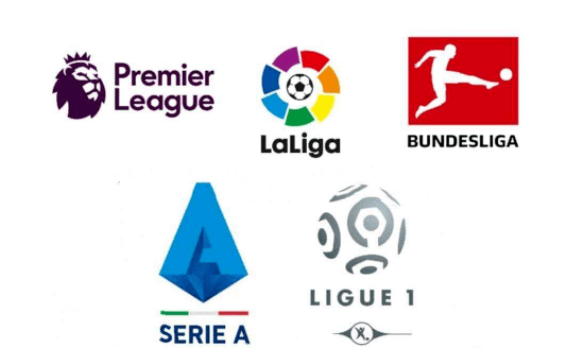 尽管卡利亚 尽管卡利亚