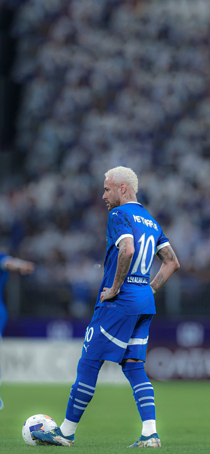 不可或缺的 不可或缺的