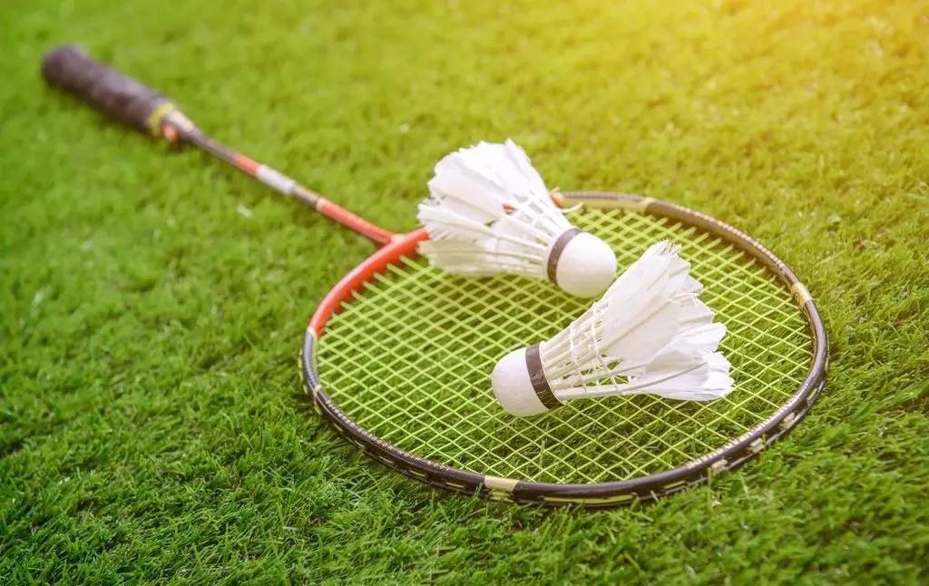 他迅速融入 他迅速融入