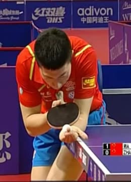 球篮球迷的 球篮球迷的